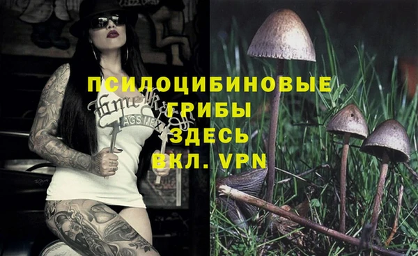эйфоретик Абаза
