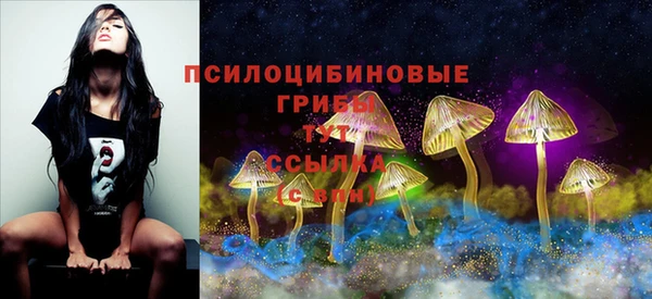 дурь Абдулино