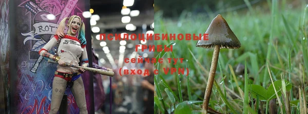 дмт Абинск